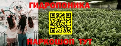 mix Мариинск