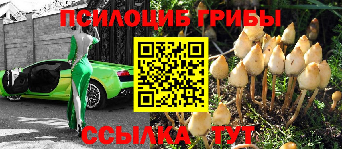 Черногорск  Галлюциногенные грибы мухоморы  Вход с VPN  Галлюциногенные грибы Cubensis 