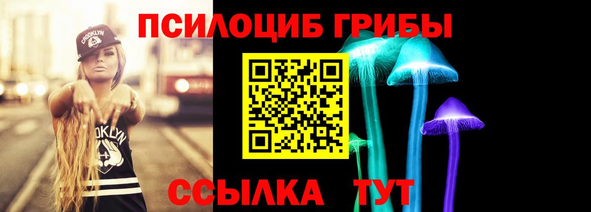 Псилоцибиновые грибы Magic Shrooms Черногорск